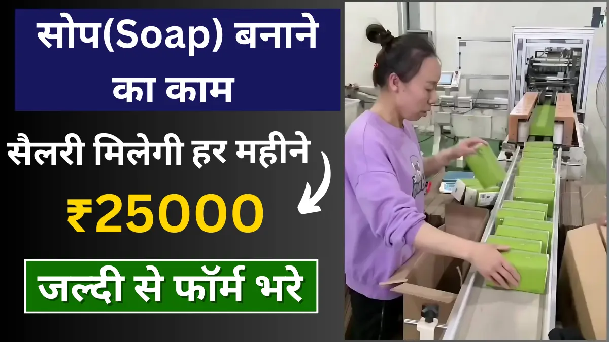 Best Organic Soap making Job